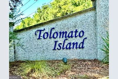 Lot 4 Mission Drive, Darien, GA 31305 - Photo 7