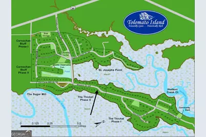 Lot 4 Mission Drive, Darien, GA 31305 - Photo 5