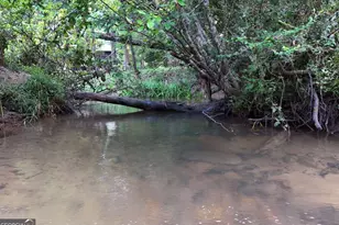 48 Twin Creeks, Epworth, GA 30541 - Photo 47