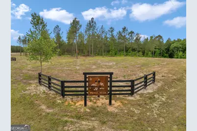 0 Dewey Thomas Road #LOT 4, Dexter, GA 31019 - Photo 5