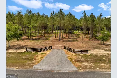 0 Dewey Thomas Road #LOT 4, Dexter, GA 31019 - Photo 1