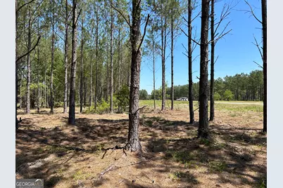 0 Dewey Thomas Road #LOT 4, Dexter, GA 31019 - Photo 7