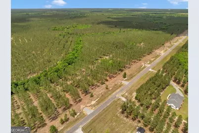 0 Dewey Thomas Road #LOT 4, Dexter, GA 31019 - Photo 3