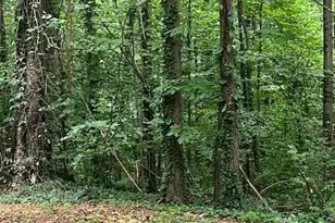 660 Hickory Trail SE, Mableton, GA 30126 - Photo 7