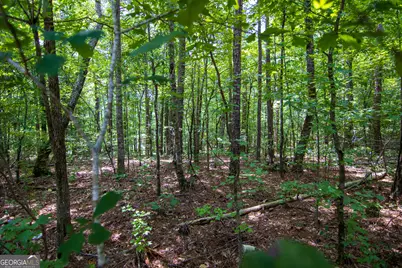 0 Leisure Circle, Pine Mountain, GA 31822 - Photo 11