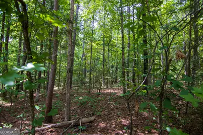 0 Leisure Circle, Pine Mountain, GA 31822 - Photo 13