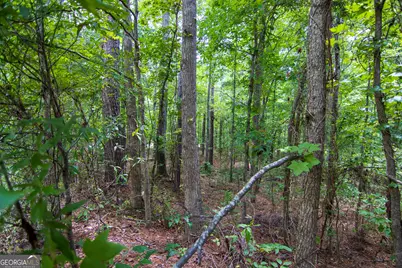 0 Leisure Circle, Pine Mountain, GA 31822 - Photo 9