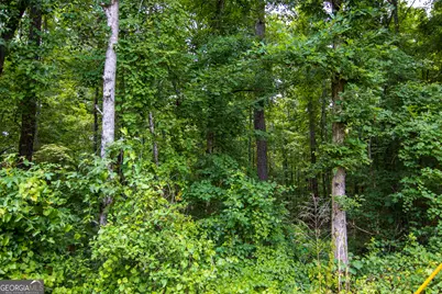 0 Leisure Circle, Pine Mountain, GA 31822 - Photo 7