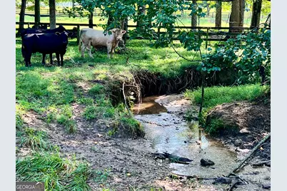 6223 Hulsey Road, Clermont, GA 30527 - Photo 7