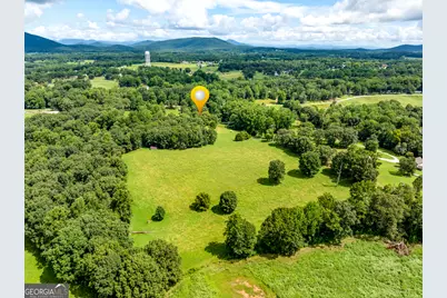 6223 Hulsey Road, Clermont, GA 30527 - Photo 63