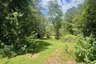 93 Green Acres Rd, Griffin, GA 30224 - Photo 41