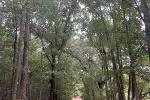 0 Bartram Trail, Arnoldsville, GA 30619 - Photo 1
