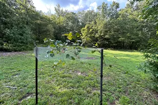 1987 Crook Rd, Lincolnton, GA 30817 - Photo 35