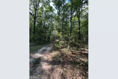 1987 Crook Road, Lincolnton, GA 30817 - Photo 37