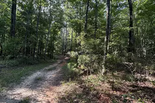1987 Crook Rd, Lincolnton, GA 30817 - Photo 37
