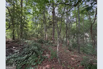 0 Travelers Lane, Clayton, GA 30525 - Photo 3