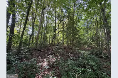 0 Travelers Lane, Clayton, GA 30525 - Photo 1