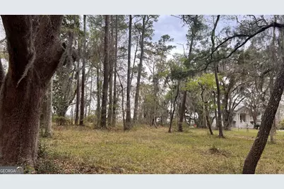 Lot 28 E Black Island Road, Darien, GA 31305 - Photo 5