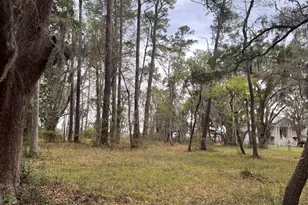 Lot 28 E Black Island Rd, Darien, GA 31305 - Photo 5