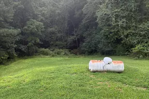 2018 Mineral Bluff Hwy, Mineral Bluff, GA 30559 - Photo 15