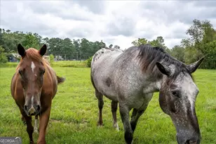 1341 N Ga Hwy 171 N, Louisville, GA 30434 - Photo 43