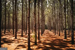 1576 Chula Brookfield Rd, Tifton, GA 31794 - Photo 53