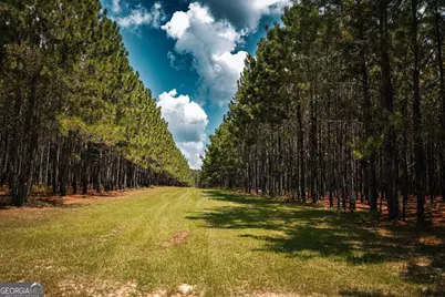 1576 Chula Brookfield Road, Tifton, GA 31794 - Photo 41