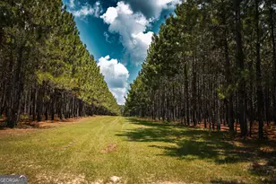 1576 Chula Brookfield Rd, Tifton, GA 31794 - Photo 41