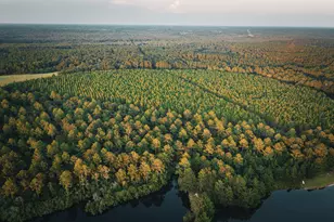 1576 Chula Brookfield Rd, Tifton, GA 31794 - Photo 59