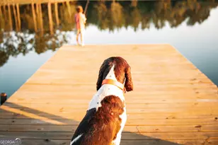 1576 Chula Brookfield Rd, Tifton, GA 31794 - Photo 13