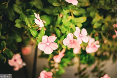 1576 Chula Brookfield Road, Tifton, GA 31794 - Photo 31