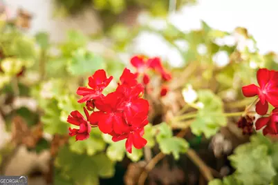 1576 Chula Brookfield Road, Tifton, GA 31794 - Photo 9