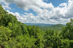 170 Walnut Ridge, Ellijay, GA 30536 - Photo 3