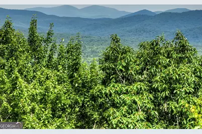 417 Bill Claypool Drive, Blue Ridge, GA 30513 - Photo 55