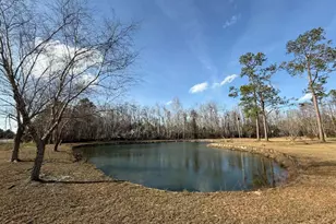 5686 Golden Isles W, Baxley, GA 31513 - Photo 9