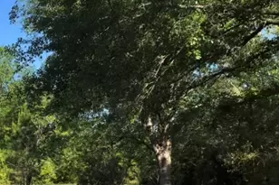 8539 Hwy 301, Folkston, GA 31537 - Photo 11