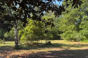 8539 Hwy 301, Folkston, GA 31537 - Photo 9