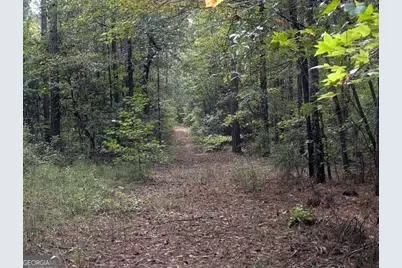 430 Briley Road, Lagrange, GA 30241 - Photo 15