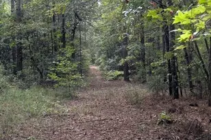 430 Briley Rd, Lagrange, GA 30241 - Photo 15