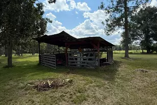 221 Rentz Bridge Rd, Lenox, GA 31637 - Photo 15