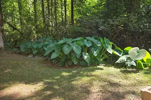 7040 Wessex Way, Cumming, GA 30028 - Photo 57