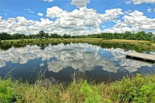 91 Cane Cir, Nahunta, GA 31553 - Photo 3