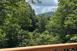 476 Prince Mountain Road, Cherry Log, GA 30522 - Photo 55