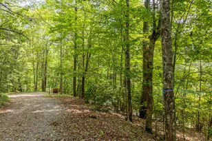 476 Prince Mountain Road, Cherry Log, GA 30522 - Photo 67