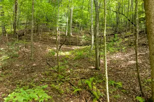 476 Prince Mountain Road, Cherry Log, GA 30522 - Photo 77