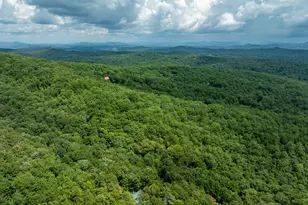 476 Prince Mountain Road, Cherry Log, GA 30522 - Photo 79