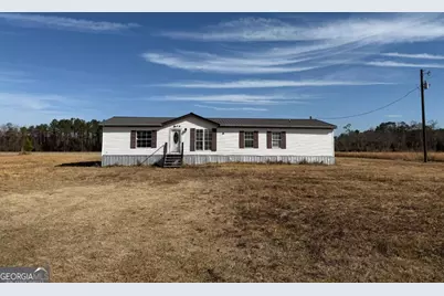 3750 Little Hurricane Creek Road, Blackshear, GA 31516 - Photo 1