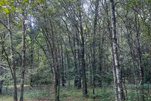 1508 Liberty Expressway SE, Albany, GA 31705 - Photo 51