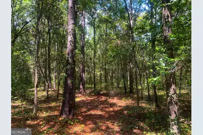 1508 Liberty Expressway SE, Albany, GA 31705 - Photo 55