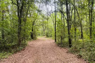 1508 Liberty Expressway SE, Albany, GA 31705 - Photo 55